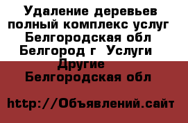 Удаление деревьев полный комплекс услуг - Белгородская обл., Белгород г. Услуги » Другие   . Белгородская обл.